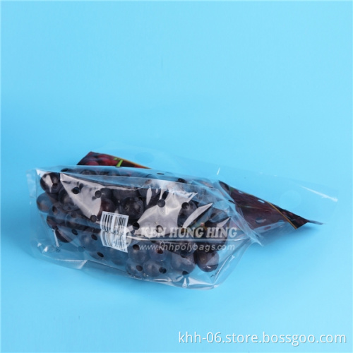 HDPE Laminated Material Customize Printing Plastic Ziplock Bag with Handle for Fruit